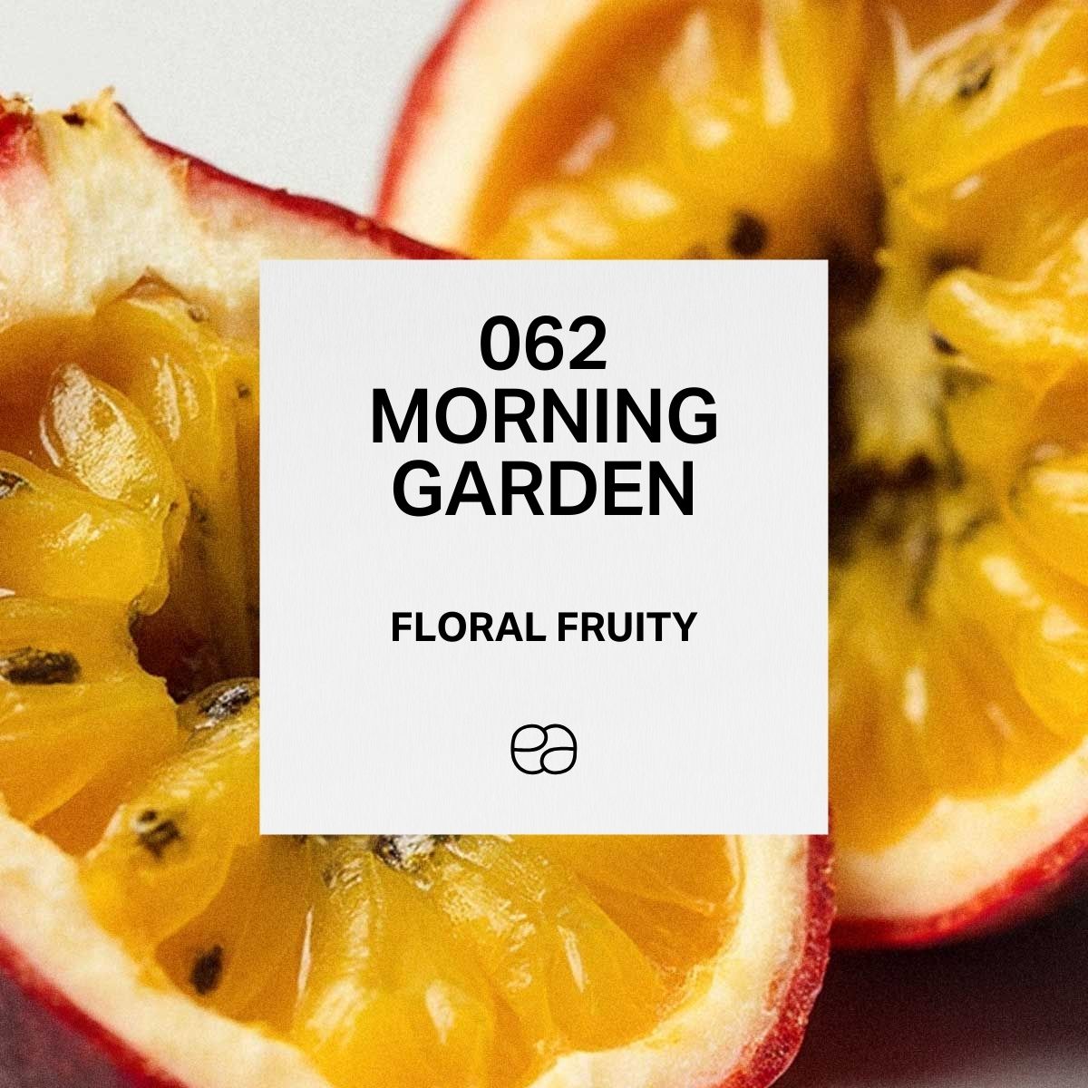 Morning Garden