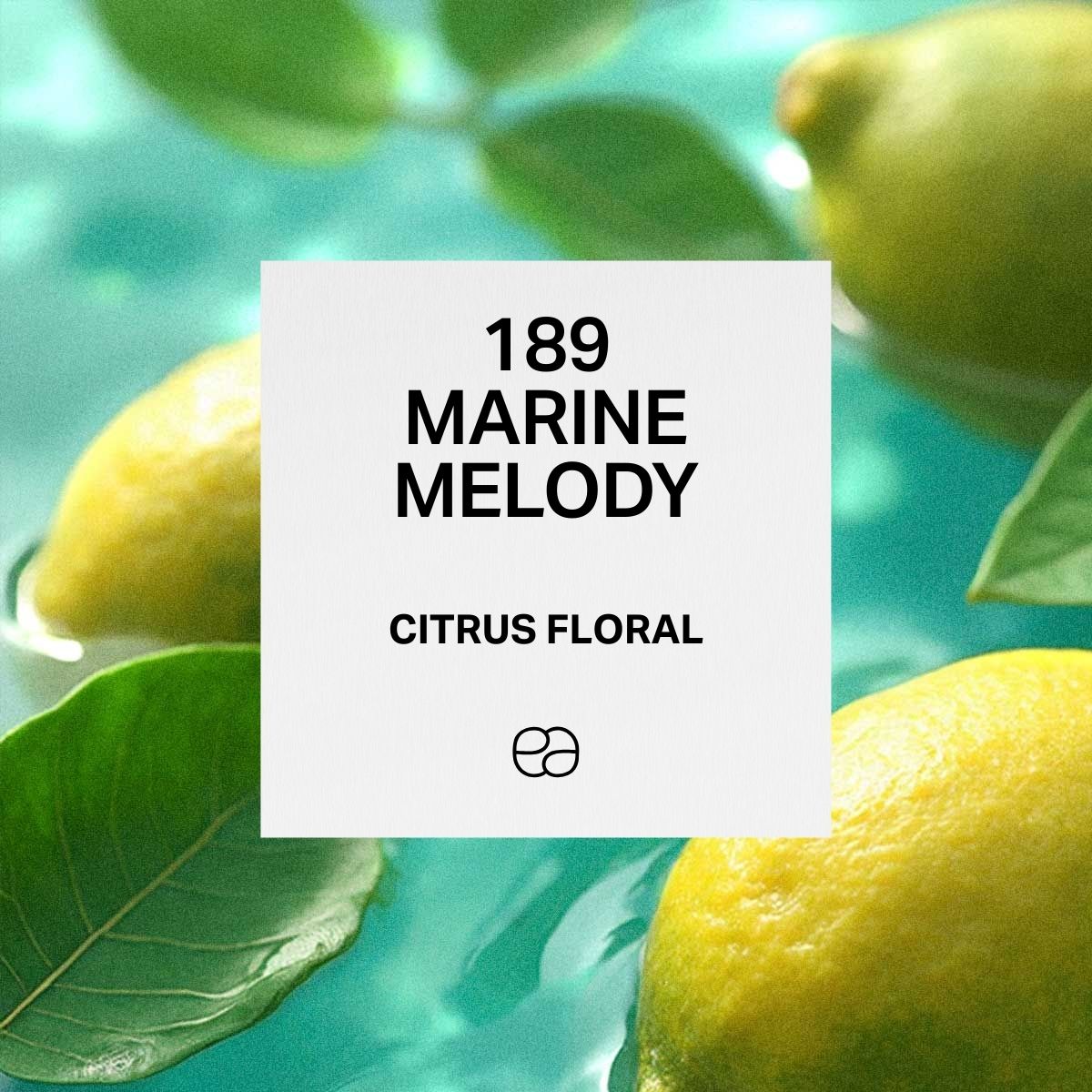 Marine Melody